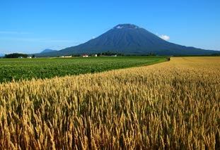 修理も接客も丁寧に02